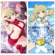 シノビマスター 閃乱カグラ NEW LINK ロングクッションカバー（華風流）