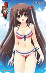 秋葉原電気外祭り 2011 Summer テレホンカード 西又葵（Navel）