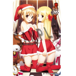 秋葉原電気外祭り 2011 WINTER in 平和島 テレホンカード ひーで(ハイクオソフト)