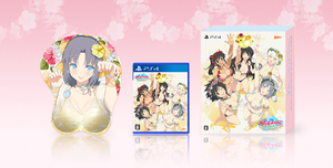 閃乱カグラ PEACH BEACH SPLASH SUNSHINE EDITION XXX ファミ通DXパック　3Dクリスタルセット　【サイズ：S】