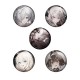 勝利の女神:NIKKE　BURST COLLECTION缶バッジ Vol.5 （BOX）