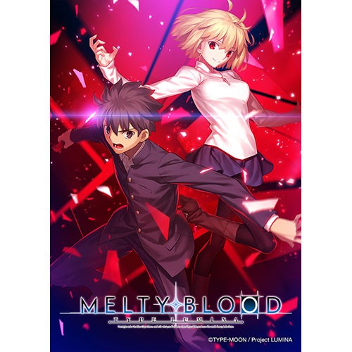 限定版 MELTY BLOOD TYPE LUMINA MELTY BLOOD②