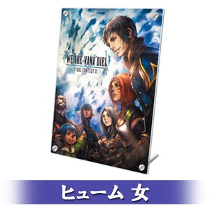 FINAL FANTASY XI 20th ANNIVERSARY PLATE 冒険者の足跡 Ver.C ヒューム 女 顔タイプ 1-a