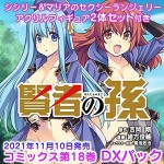 「賢者の孫」コミックス18巻 Newtype Anime Market DXパック