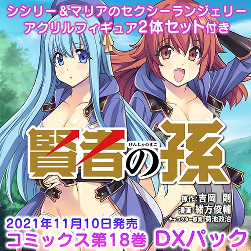 賢者の孫 コミックス18巻 Newtype Anime Market Dxパック エビテン