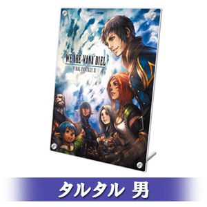 FINAL FANTASY XI 20th ANNIVERSARY PLATE 冒険者の足跡 Ver.C タルタル 男 顔タイプ 6-a