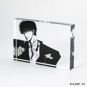 TOKYO BABYLON Acrylic Block D