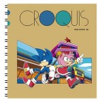 『ソニック・ザ・ヘッジホッグ』 かべがみカバーストーリークロッキーブック ソニック＆エミー