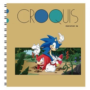 『ソニック・ザ・ヘッジホッグ』 かべがみカバーストーリークロッキーブック ソニック＆ナックルズ