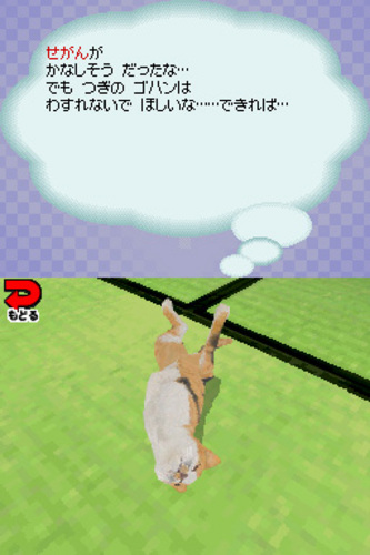 夢ネコです！ 31Ab7QuewlL._AC_SY200_QL15_.jpg
