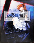 貞本義行「新世紀エヴァンゲリオン」F6キャンバスアート C　