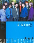 SUPER★DRAGON ARTIST BOOK S★D File ～Deluxe Edition 3～