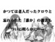 異世界から帰ったら江戸なのである 第参巻