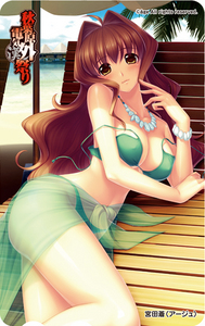 秋葉原電気外祭り 2011 Summer テレホンカード 宮田蒼（アージュ）