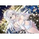 シノビマスター 閃乱カグラ NEW LINK B2タペストリー（月光／乳籍祭）